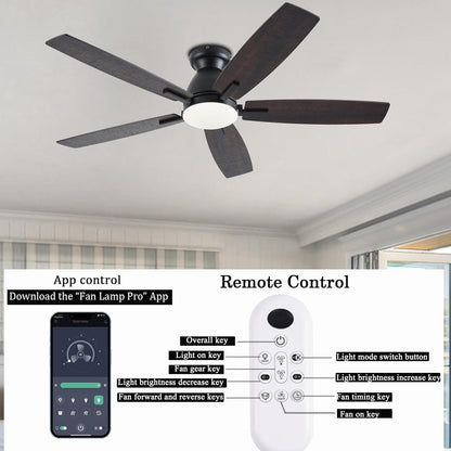 Ceiling Fan SY75