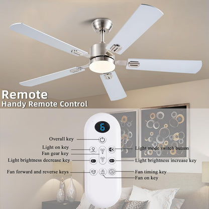 Ceiling Fan SY39