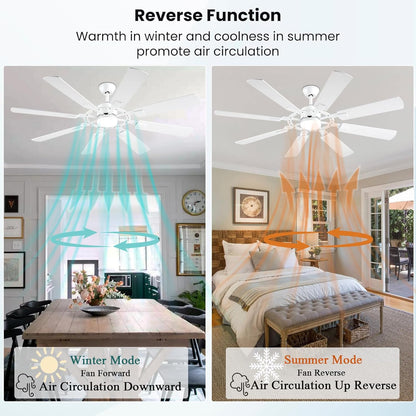 Ceiling Fan SY50