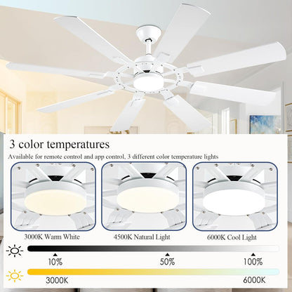 Ceiling Fan SY50