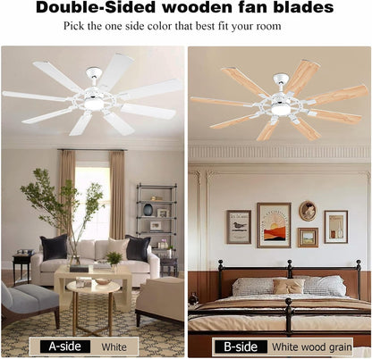 Ceiling Fan SY50