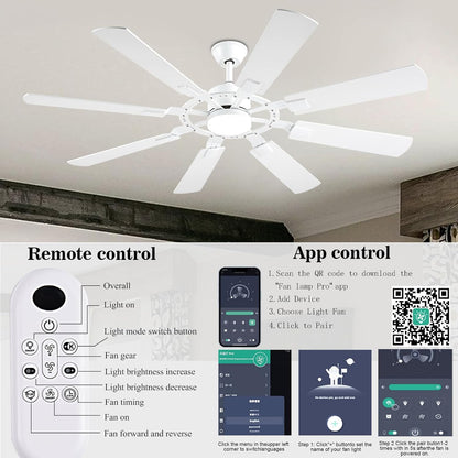 Ceiling Fan SY50