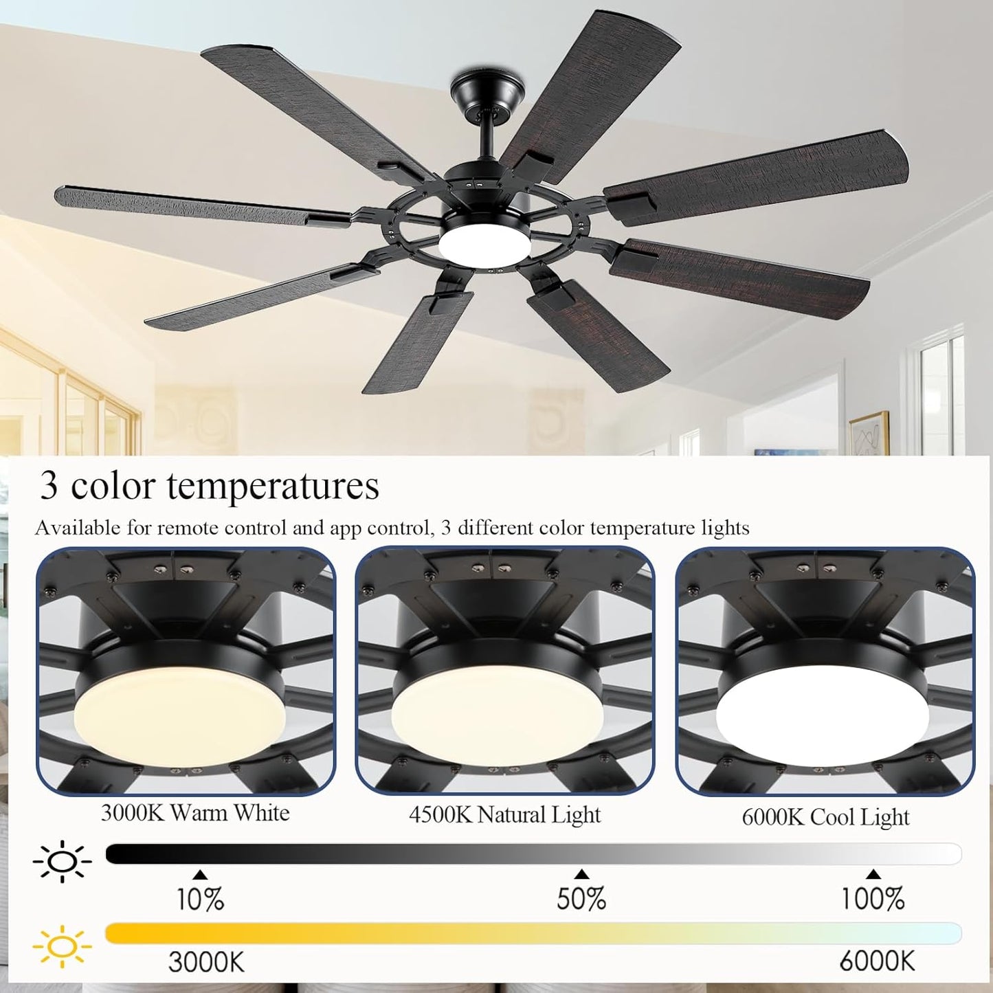 Ceiling Fan SY50