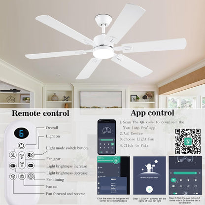 Ceiling Fan SY58