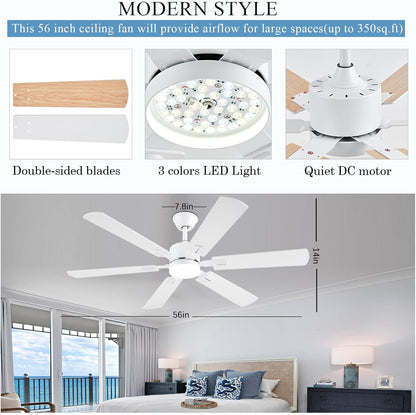 Ceiling Fan SY58