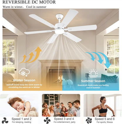 Ceiling Fan SY58