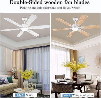 Ceiling Fan SY58