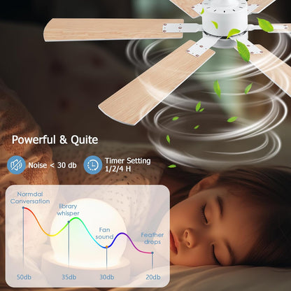 Ceiling Fan SY58