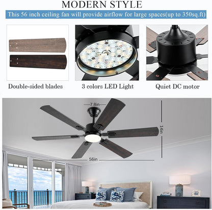 Ceiling Fan SY58