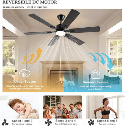 Ceiling Fan SY58