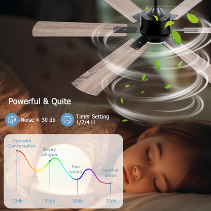 Ceiling Fan SY58