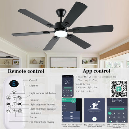 Ceiling Fan SY58