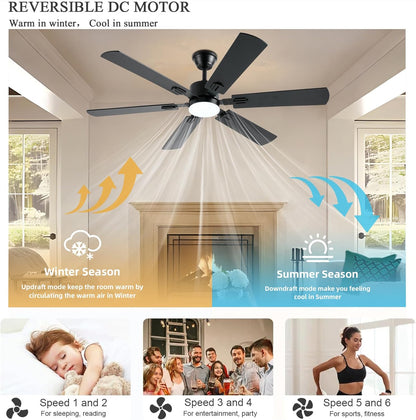 Ceiling Fan SY58