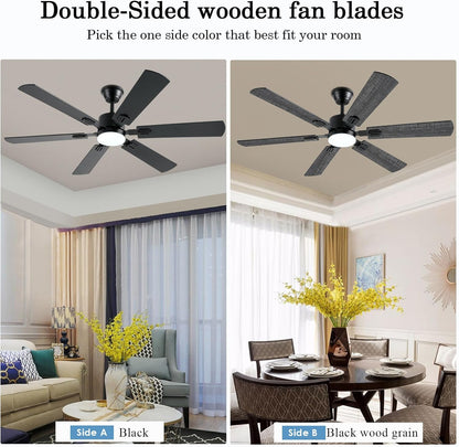 Ceiling Fan SY58