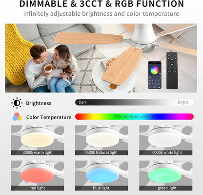Ceiling Fan SY95