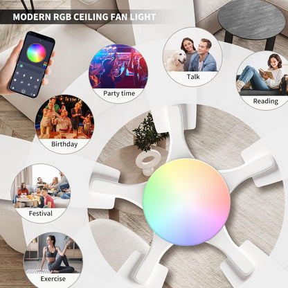 Ceiling Fan SY95