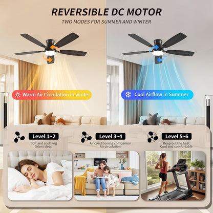 Ceiling Fan SY95