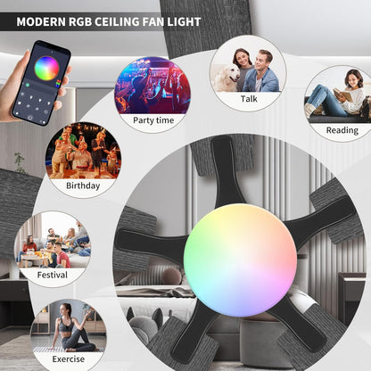 Ceiling Fan SY95
