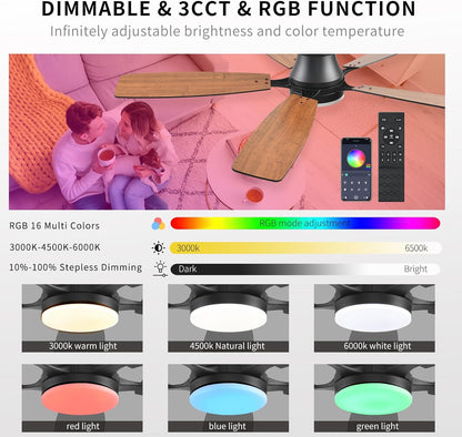 Ceiling Fan SY95