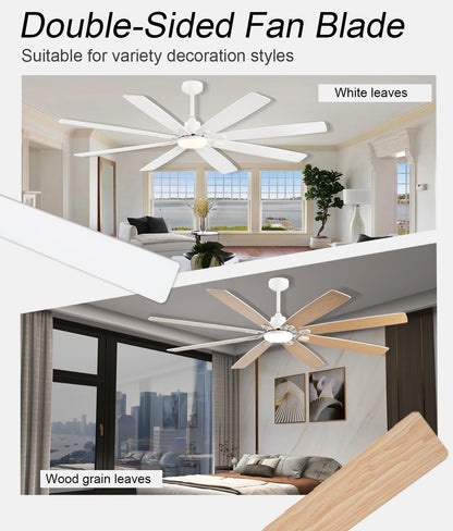 Ceiling Fan JL-89