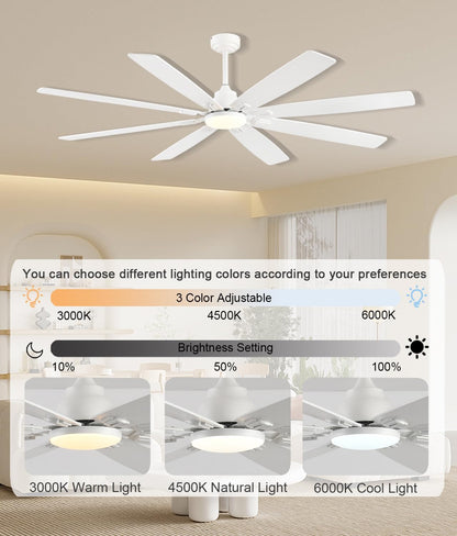 Ceiling Fan JL-89