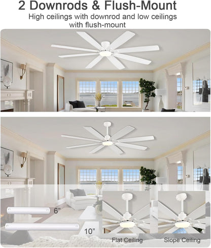 Ceiling Fan JL-89