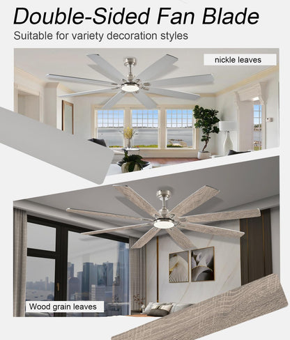 Ceiling Fan JL-89