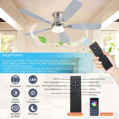 Ceiling Fan SY95