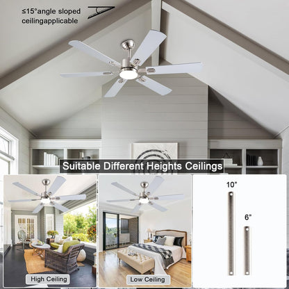 Ceiling Fan SY58