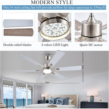 Ceiling Fan SY58