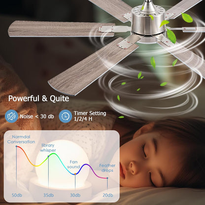 Ceiling Fan SY58